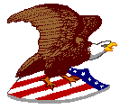 American Bald Eagle on stars and stripes shield